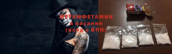 мяу мяу мука Аркадак